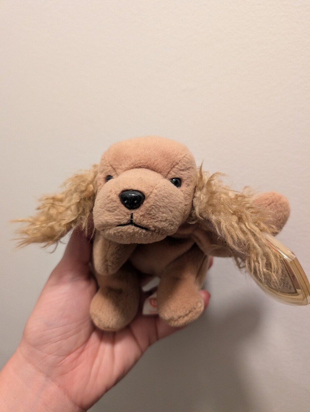 "Spunky" Ty Beanie Baby Push Cocker Spaniel